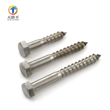 Customized Stainless Steel 304 Furniture Screws and Bolts